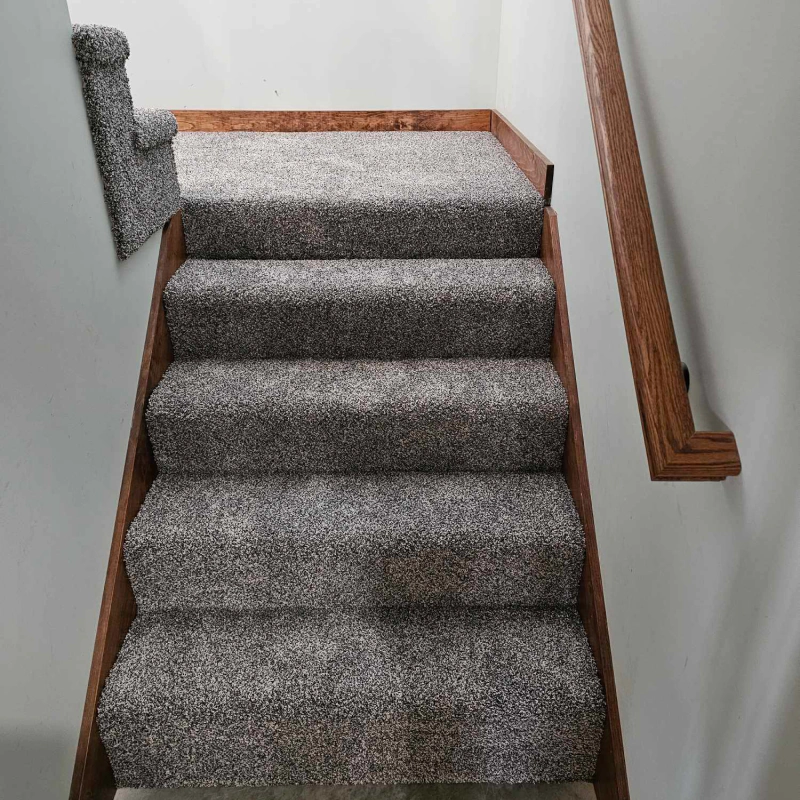 a recently installed carpet flooring